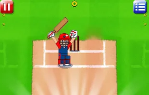 Big Cup Cricket screenshot 2