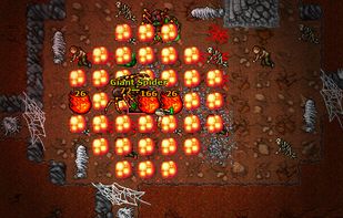 http://www.tibia.com/abouttibia/?subtopic=screenshots&currentscreenshot=26