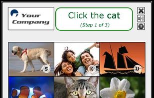 Confident Captcha screenshot 3