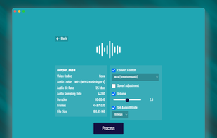 FFMPEG UI screenshot 2