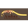 Ambra icon