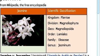 Quickoffice on Symbian (3)