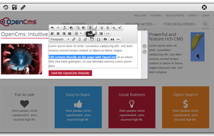 OpenCms screenshot 1