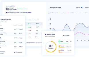 An all-in-one SEO tool that has all keywords, links and health (onsite) tools.
