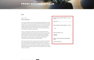 Multilanguage WordPress Plugin screenshot 1