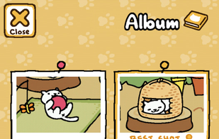 Neko Atsume screenshot 3