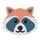 Racoon SEO Link Checker icon