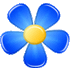 Kvetka icon