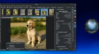 digiKam 8.8 adds hierarchical tag import, focus point preview, and new blur tool image