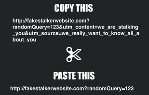 UTMBeGone screenshot 1