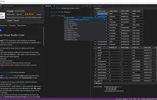 mssql for Visual Studio Code screenshot 1