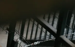 SD News - Sugar Daddy News screenshot 3