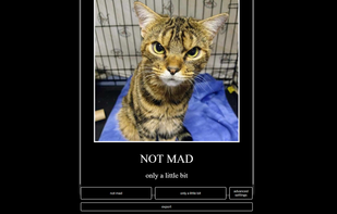 OpenMemer's Demotivational Mode being used.