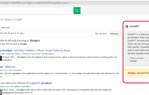 In addition to the usual GG search results, ChatGPT results will be displayed