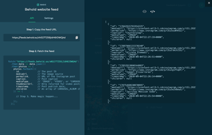 An API feed showing JSON results