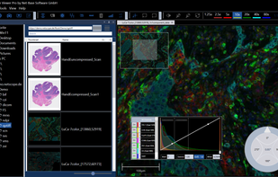 Dark mode can be easily set.