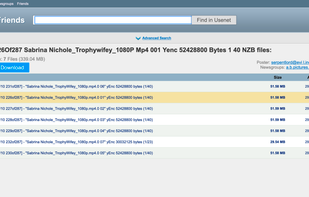 NZBFriends screenshot 2