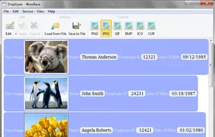 WowBase screenshot 1
