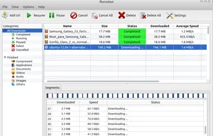 flareGet screenshot 2