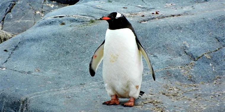 Linus Torvalds announces calm and controlled release of Linux Kernel version 6.3 with significant changes image