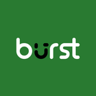 Burst Statistics icon
