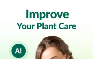 Plantum screenshot 1