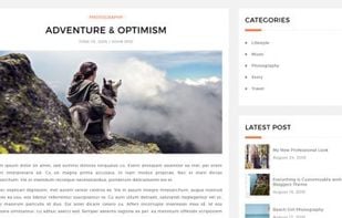 Bloggers Lite WordPress Theme screenshot 2