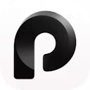 Paraspeech