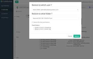 File restore