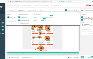View gaze and mouse paths. Change the settings to your preferences.