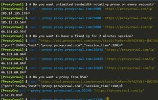 BackConnect Proxy screenshot 1