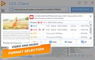 Video and Music format selection