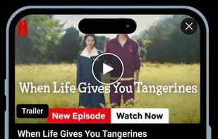 NetMirror screenshot 1