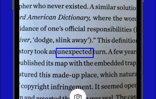 Word Capture screenshot 1