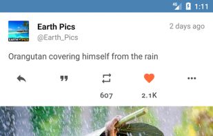 Fenix for Twitter screenshot 3