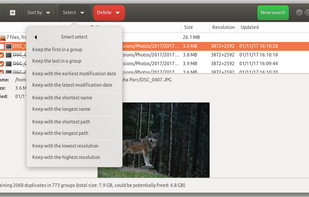 Similar images result pane - Ubuntu 18.04