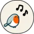 BirdLingo icon