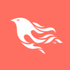 Phoenix Framework icon