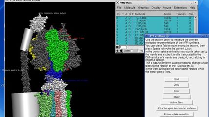 VMD - Visual Molecular Dynamics screenshot 1