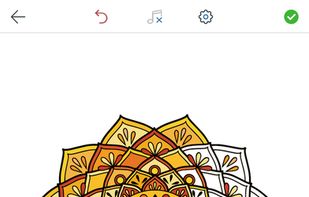 Mandala Coloring Pages for Adults screenshot 3