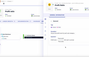 DataGalaxy screenshot 3