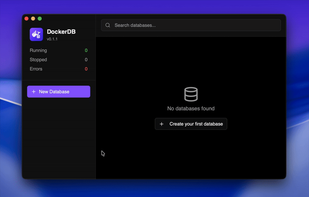 Docker DB Manager screenshot 1