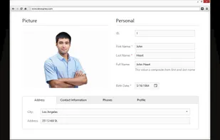 DevExtreme screenshot 3