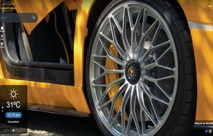 Charitable Exotics screenshot 1