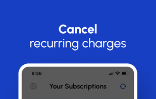 Chargeback Subscription Manager screenshot 2