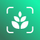 Plant identifier - Find Insect icon