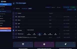 File Manager