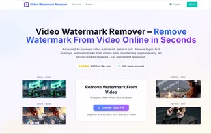 Video Background Remover screenshot 1