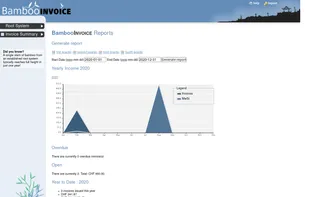 BambooINVOICE screenshot 3