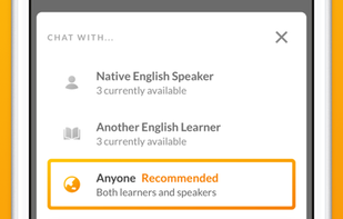 Linguistic screenshot 2
